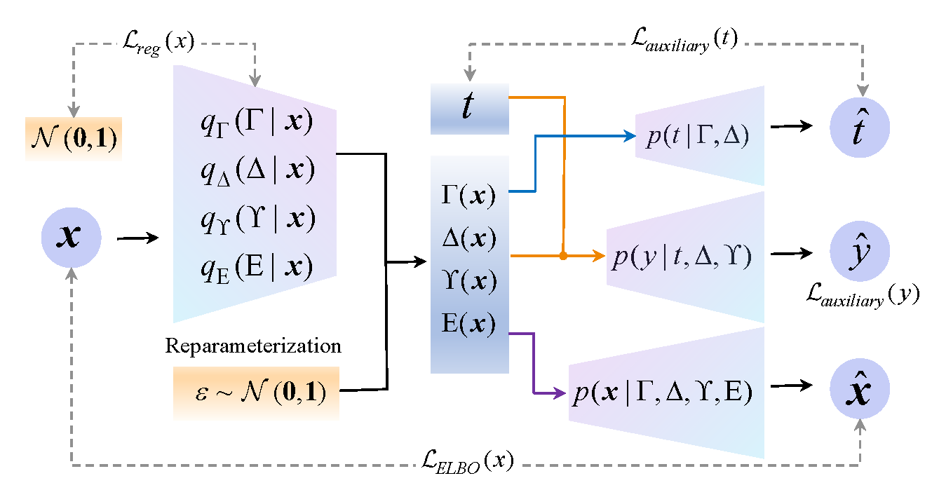 model structure